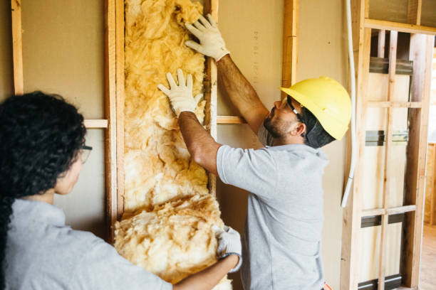 Best Radiant Barrier Insulation  in Stockdale, TX